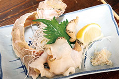 真ツブ貝の刺身