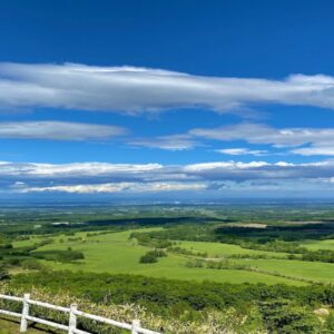 清水町フェア全店メニューです